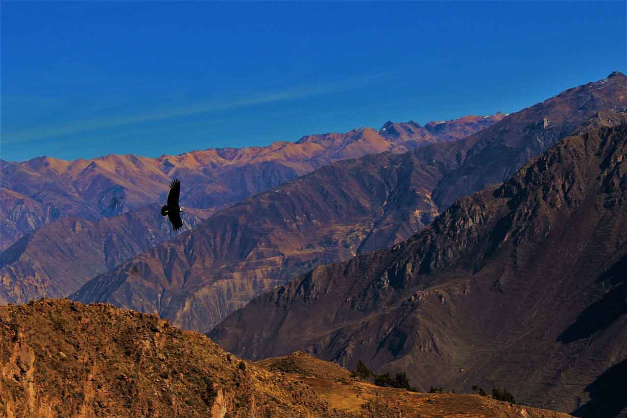 vuelo-de-condor